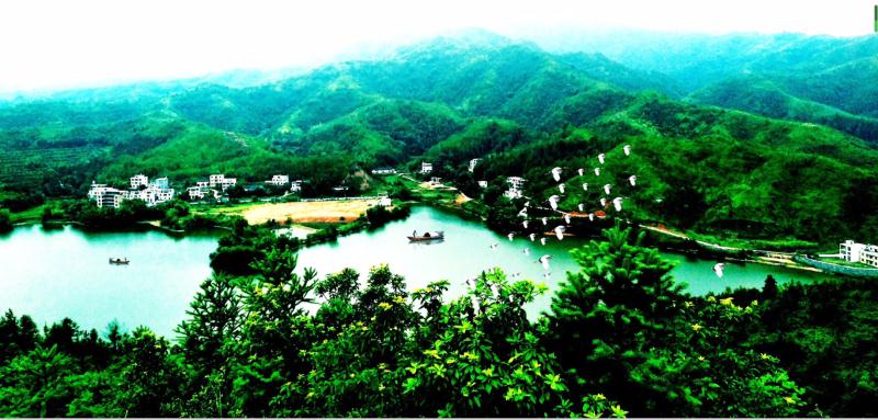 赣县区坚持绿色生金 打造“赣州后花园”-中国网地产